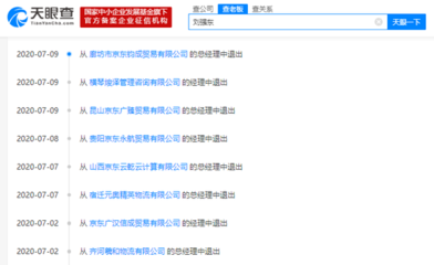廊坊企業網站建設與京東平臺運營解析 從建站到電商策略