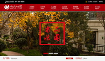 廊坊企業(yè)數(shù)字化轉型的堅實伙伴 迅騰網(wǎng)絡網(wǎng)站建設經(jīng)典案例解析